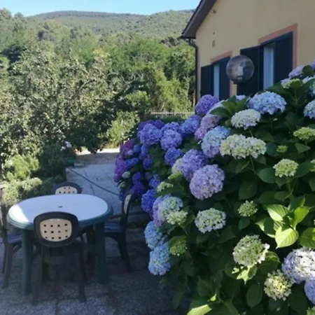Elba Holiday 2 *